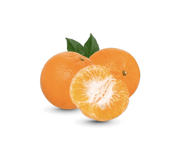 h3-product2 h3-product2