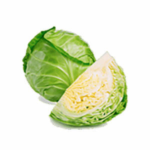 Organic Cabbage